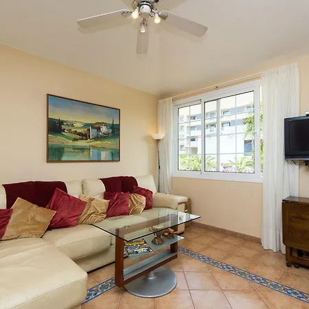 House Palm-mar
