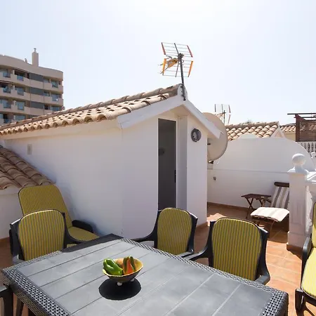 House Palm-mar
